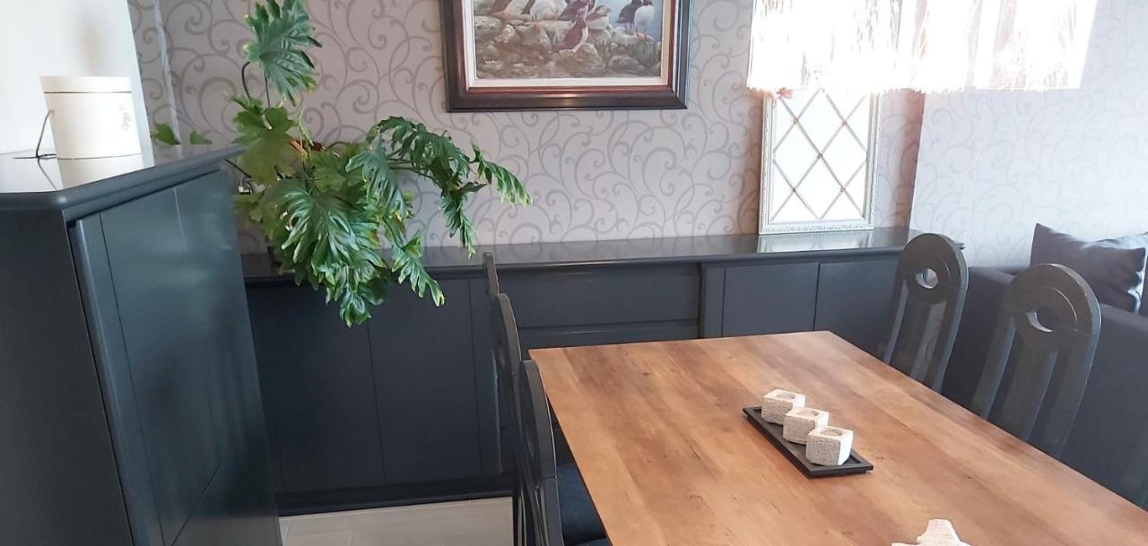 Appartement Met Zeezicht ブランケンベルヘ エクステリア 写真