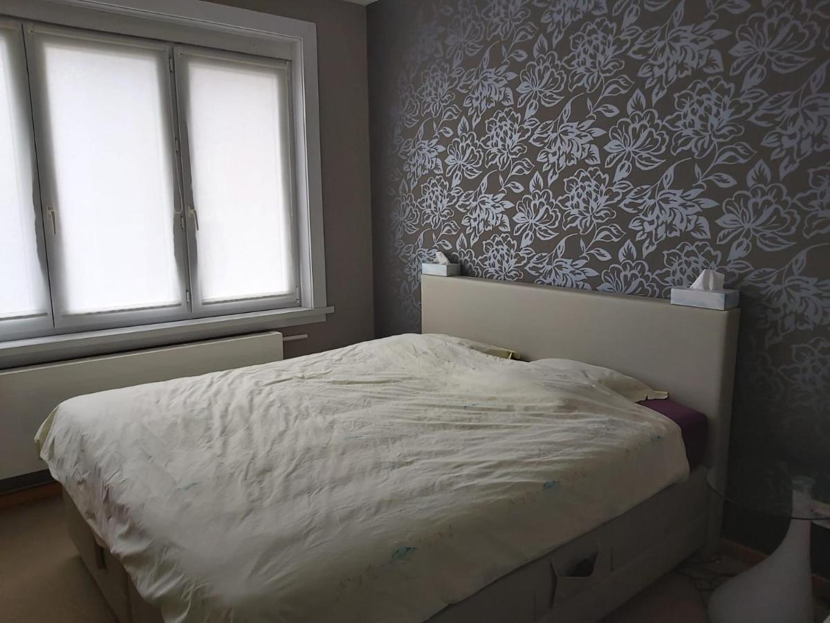 Appartement Met Zeezicht ブランケンベルヘ エクステリア 写真
