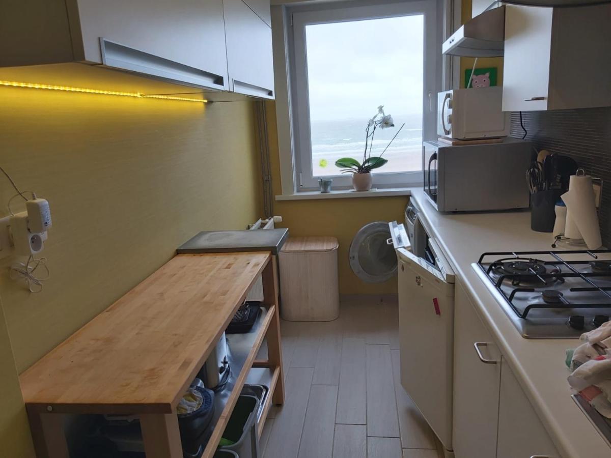 Appartement Met Zeezicht ブランケンベルヘ エクステリア 写真